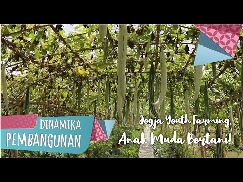 Dinamika Pembangunan: Jogja Youth Farming