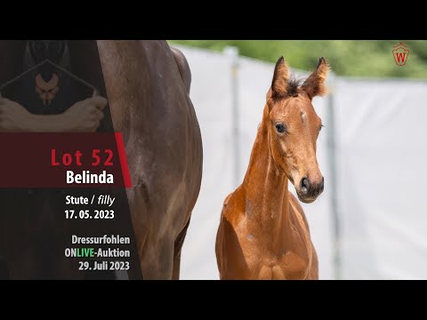 ONLIVE-AUKTION Lot 52 Belinda Stute v. Bonds - Escamillo