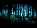 Custodes Noctis 🍄 Forest Psytrance Mix 🍄 Dark Forest Trip Set 🍄