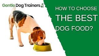 How To Choose The Right Dog Food - EVERYTHING You Need To Kn