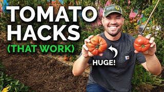 9 Tomato Growing Tips (That Actually Work)