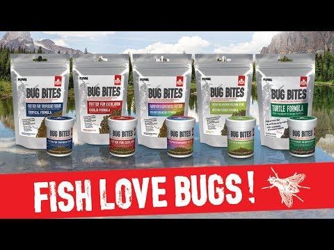 Fluval bug bites/ aquarium fish superfood