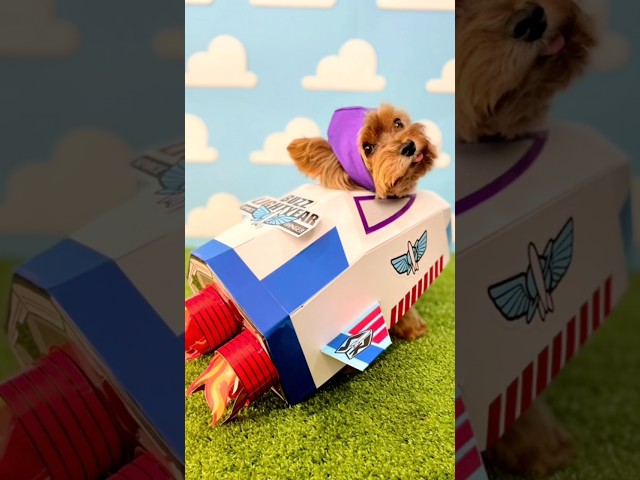 Vídeo relacionado con OIXYEY 1 Pieza Collar Con Mano Esquelética, Collar Con Hueso, Edad De Piedra, Neandertal, Para Carnaval, Halloween, Fiesta Temática, Disfraz