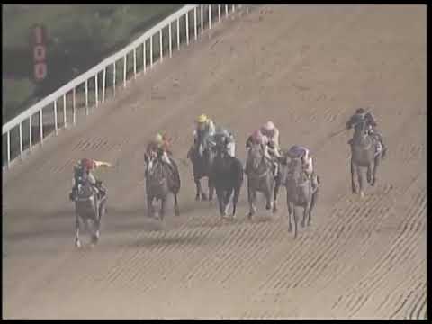 29-03-2019 Race 6(0205) - THE HOUSTON