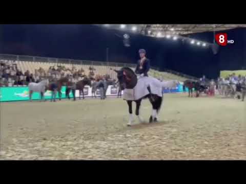 La Jornada RTVCYL 8 Ávila  - Pampero FS Campeón SICAB 21