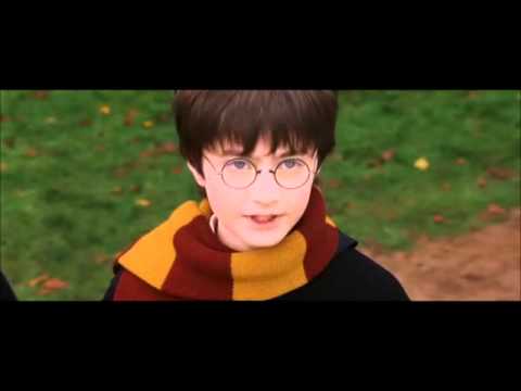 Hagrid - I Should Not Have Said That