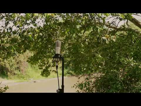 Sofía Morales y Ale Scarazzini - Tu (Cover David Parejo)