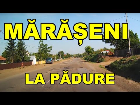 Maraseni la padure ( Vaslui ) video mai 2015