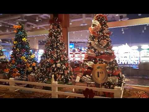 Delta Downs Full Video