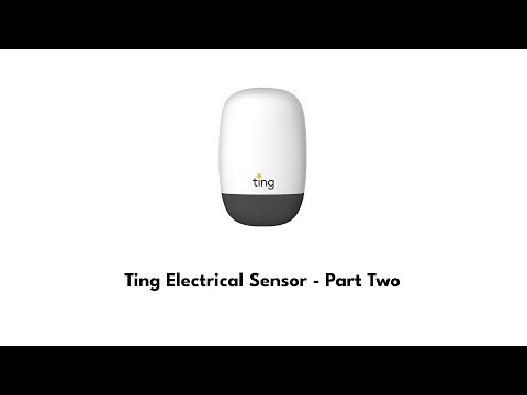 Ting Sensor Review