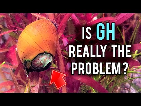 5 Valuable Aquascaping Tips You Probably Didn't Know