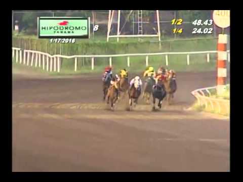 8VA CARRERA DOMINGO 17 DE ENERO 2016 HPR