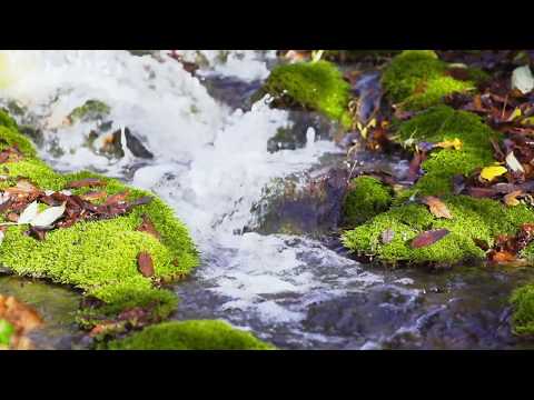 Rock Of Ages 10 21 18