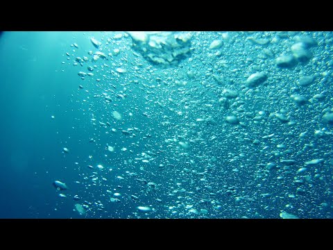 Na rubu znanosti: Kisik i život