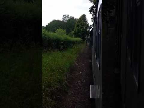 Dampflok 99 1784-0 Dampflok Rasender Roland