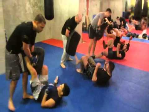 Hornet Combat Academy Novi Sad