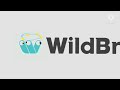 I Found The Rare WildBrain 2019 Logo