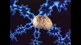 Timothy Leary: How to operate your brain (české titulky)