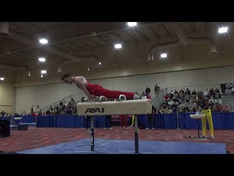 Eddie Penev - Pommel Horse - 2019 Winter Cup Senior Finals