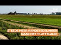Randstedeling verhuist vaker naar platteland, en dan vooral vanwege de prijzen