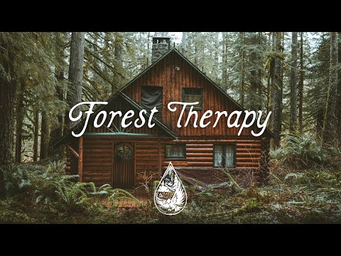 Forest Therapy 🌲 - A Healing Indie/Folk/Pop Playlist