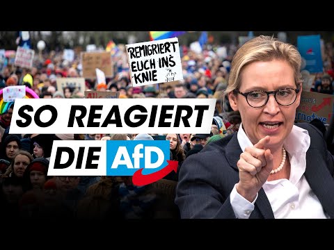 Video Thumbnail: Anti-AfD-Demos: Das bringen sie WIRKLICH!