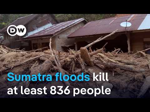 Sumatra floods: How decades of excessive deforestation have exacerbated the devastation | DW News