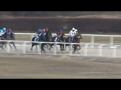 2022.03.20. 07. futam - NYERETLENEK VERSENYE (V.kat.)(szintetikus pálya)