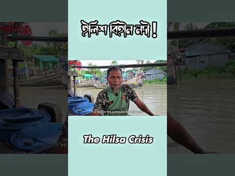ইলিশ বিহীন নদী! || The Hilsa Crisis