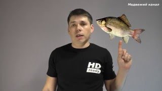 Как поймать карася на озере если он не клюет