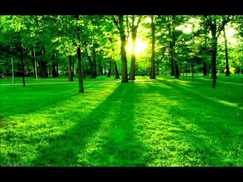 Colaj muzica Crestina - Nicu Wagner