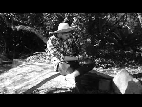 Trailer - O Fantástico na Ilha de Santa Catarina