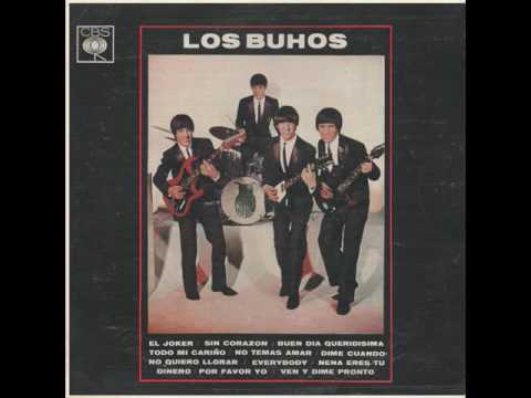 Los Buhos "Por favor yo" (Please Please Me)