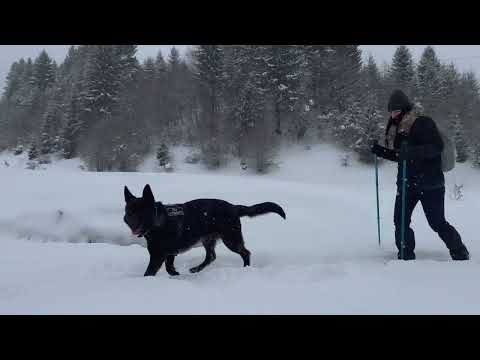 Sez.1/Ep.8 - Drumul Familiar din Piatra Mare