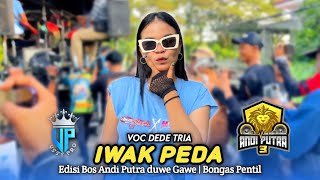 Download lagu IWAK PEDA • DEDE TRIA ( Bos Tobrut ) • ANDI PUTRA 3 • BOS ANDI PUTRA DUE GAWE mp3 Download lagu IWAK PEDA • DEDE TRIA ( Bos Tobrut ) • ANDI PUTRA 3 • BOS ANDI PUTRA DUE GAWE mp3
