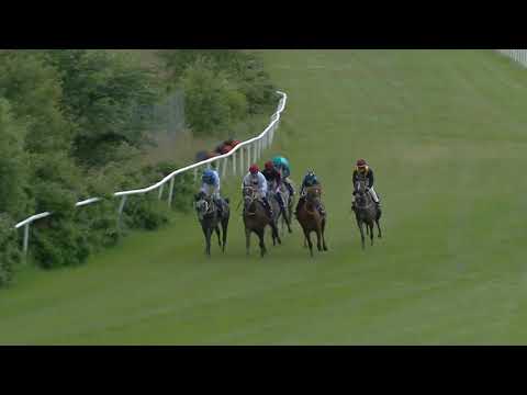 Gothenburg (SWE) 07.07.19 - Arabhästlöpning