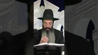 חייב איניש לבסומי הרב נתנאל אביסרור (בית הכנסת מוסאיוף) - התמונה מוצגת ישירות מתוך אתר האינטרנט יוטיוב. זכויות היוצרים בתמונה שייכות ליוצרה. קישור קרדיט למקור התוכן נמצא בתוך דף הסרטון