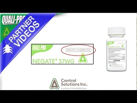  Negate 37WG Herbicide Video 