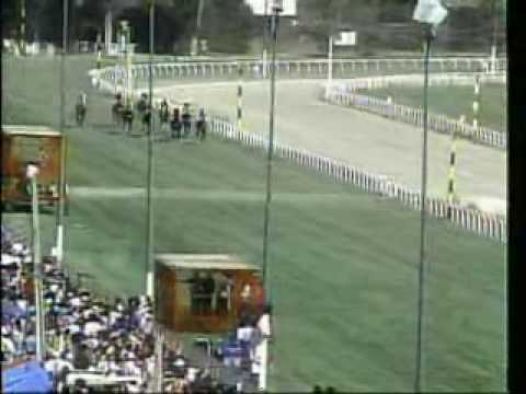 WOLF - El Derby 1991