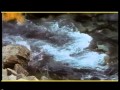Bole Bošković - "Dobro jutro Crna Goro" 