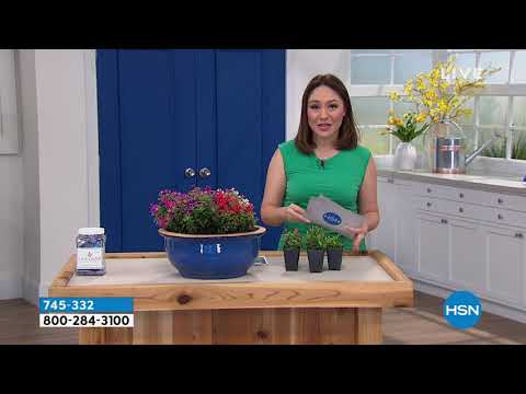 HSN | Outdoor Living featuring Leaf & Petal Designs 03.28.2021 - 09 AM