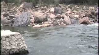 preview picture of video 'El Rio Lerma,  Presa de Santa Rosa  1992'