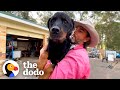 'Aggressive' Rottweiler Who Spent His Life In Shelters Dotes On His Human Siblings | The Dodo