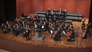 Beethoven Violin Concerto in D Major, Op. 61