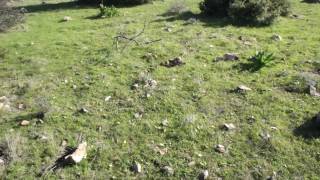 Funny Time of Year - Beth Gibbons