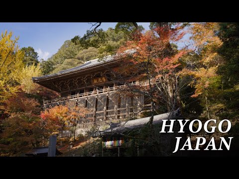 HYOGO JAPÃO em 8K [Verão Outono] - Hyogo