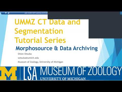 UMMZ CT Data & Segmentation Tutorial Series - Episode 3