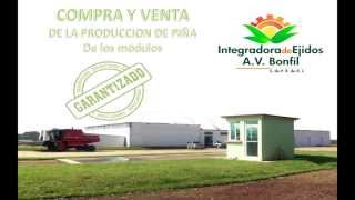 preview picture of video 'Integradora de Ejidos A. V. Bonfil S. de P. R. de R. L. Sector Primario'