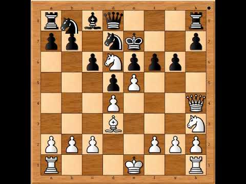 Rizik se isplatio : Fatalni napad na protivničkog Kralja ☆ SPEIJER vs COUVEE # 1994