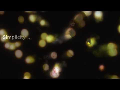 Walkthrough Walkthrough